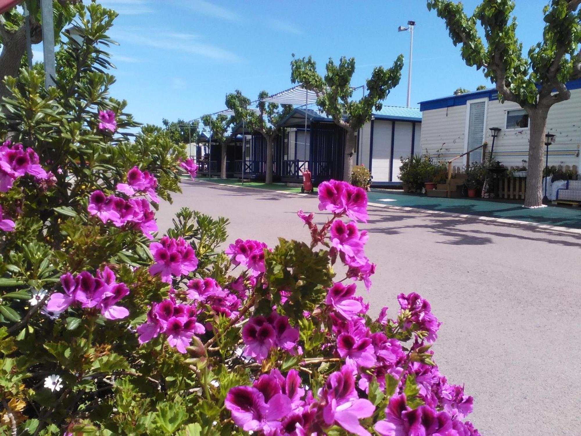 Camping Y Bungalows Monmar Moncófar Szoba fotó