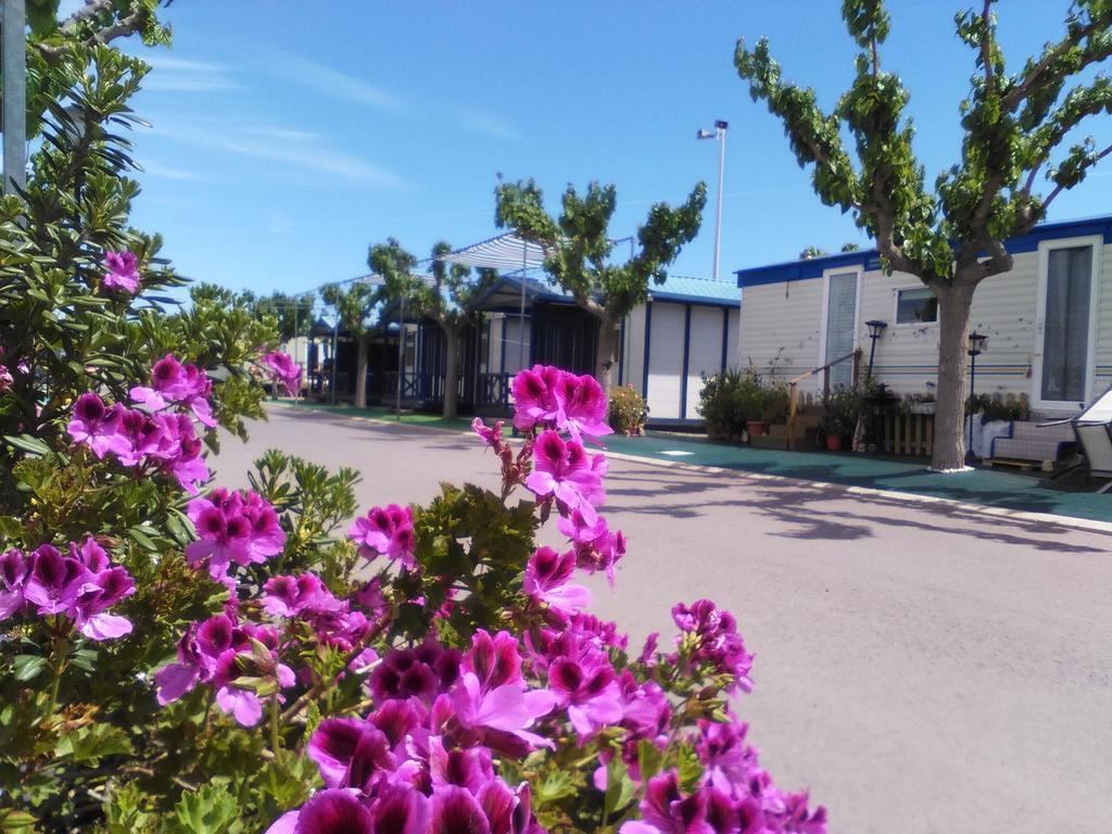 Camping Y Bungalows Monmar Moncófar Kültér fotó