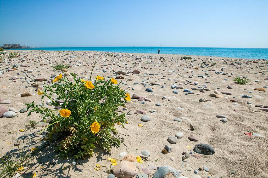 Camping Y Bungalows Monmar Moncófar Kültér fotó