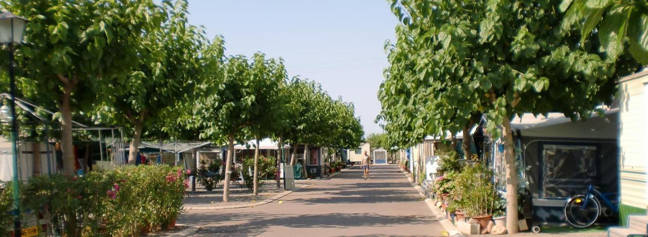 Camping Y Bungalows Monmar Moncófar Kültér fotó